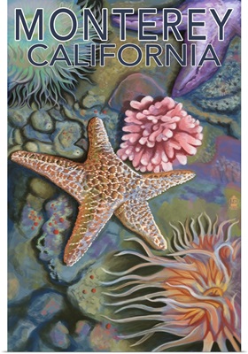 Monterey, California - Tidepool: Retro Travel Poster