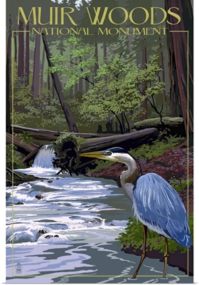 Muir Woods National Monument, California - Blue Heron: Retro Travel Poster
