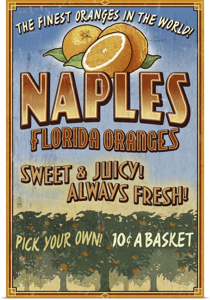 Naples, Florida - Orange Grove Vintage Sign: Retro Travel Poster