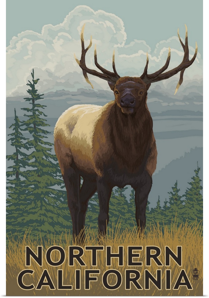 Northern California, Elk Scene
