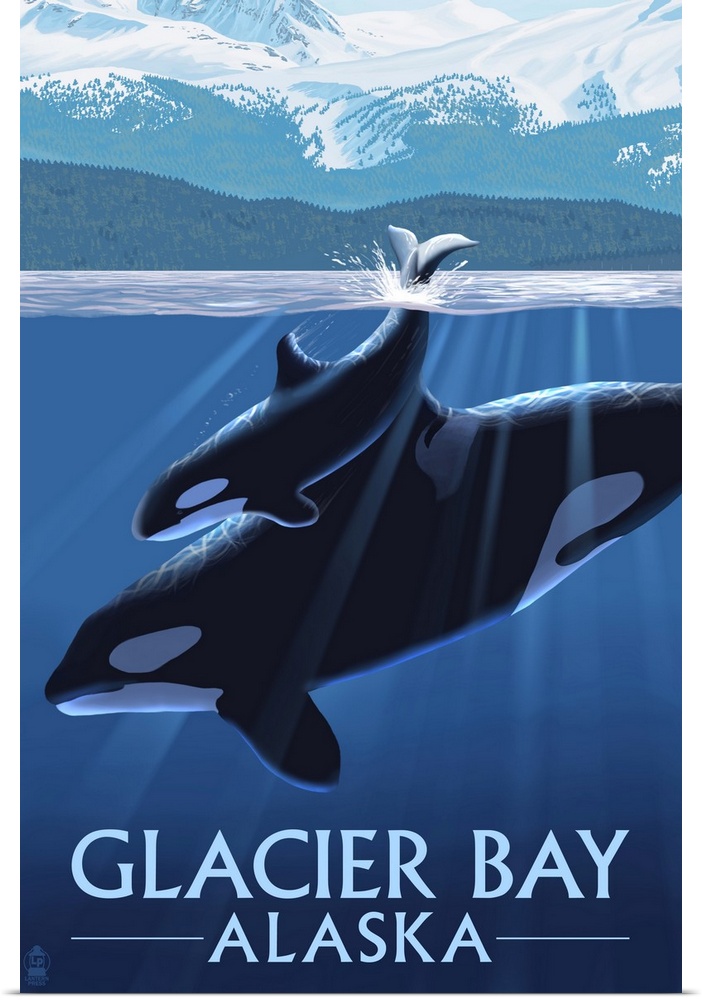 Orca and Calf, Glacier Bay, Alaska