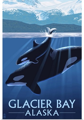 Orca and Calf, Glacier Bay, Alaska