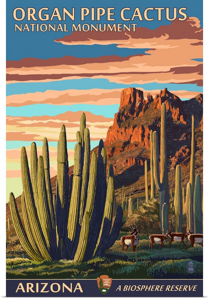 Organ Pipe Cactus National Monument, Arizona: Retro Travel Poster