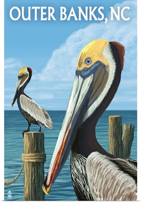 Outer Banks, North Carolina - Pelicans: Retro Travel Poster