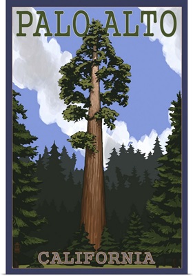 Palo Alto, California, California Redwoods