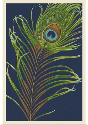 Peacock Feather - Letterpress: Retro Art Poster