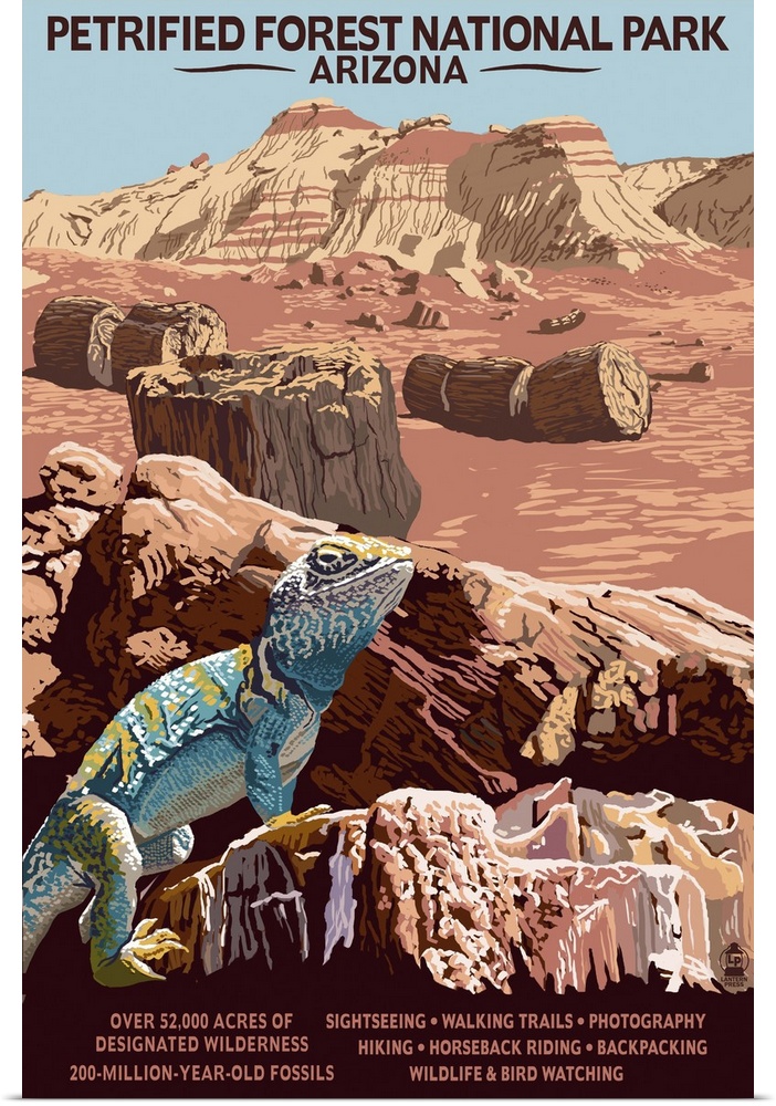 Petrified Forest National Park - Arizona: Retro Travel Poster