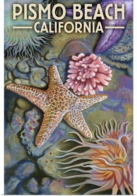 Pismo Beach, California - Tide pool: Retro Travel Poster