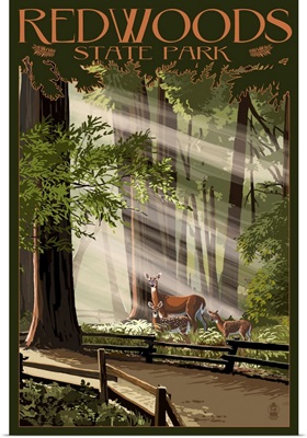 Redwoods State Park - Deer and Fawns: Retro Travel Poster