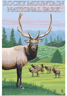 Rocky Mountain National Park, CO - Elk Herd: Retro Travel Poster