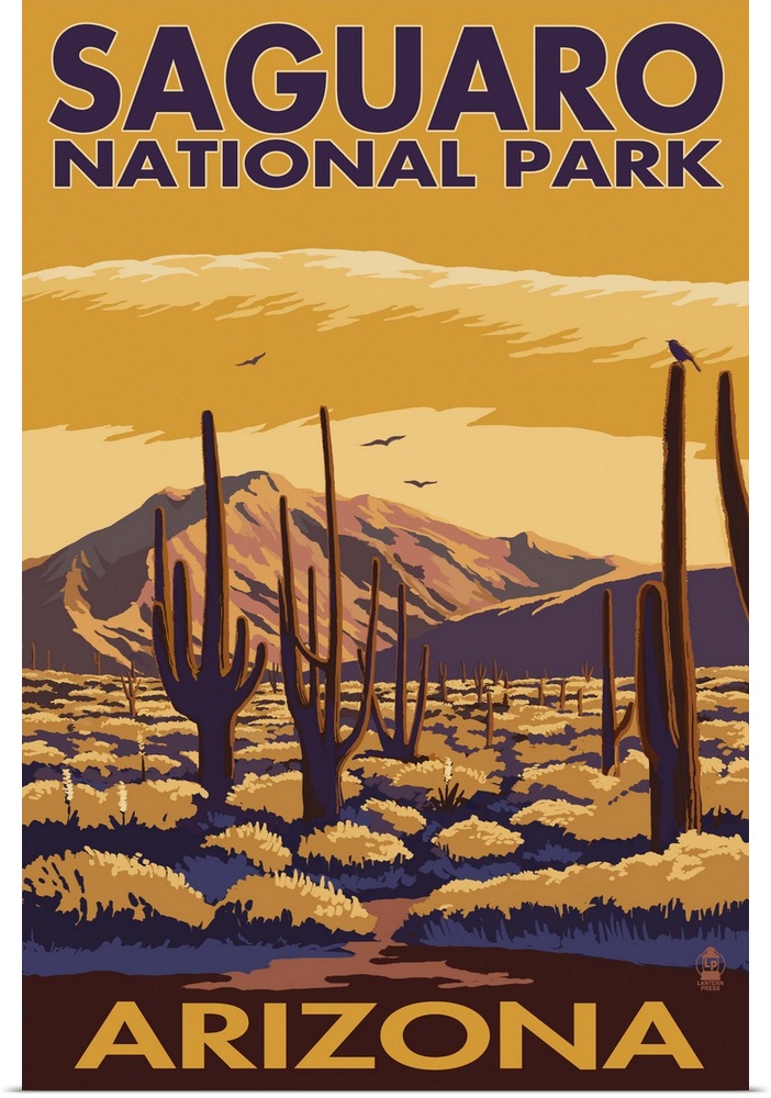 Saguaro National Park, Arizona