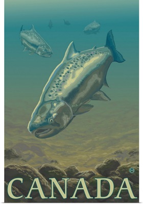 Salmon View - Canada: Retro Travel Poster