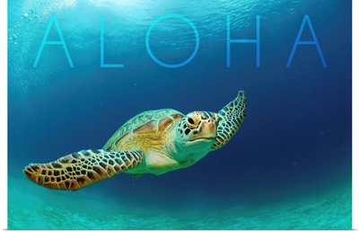 Sea Turtle Swimming - Aloha