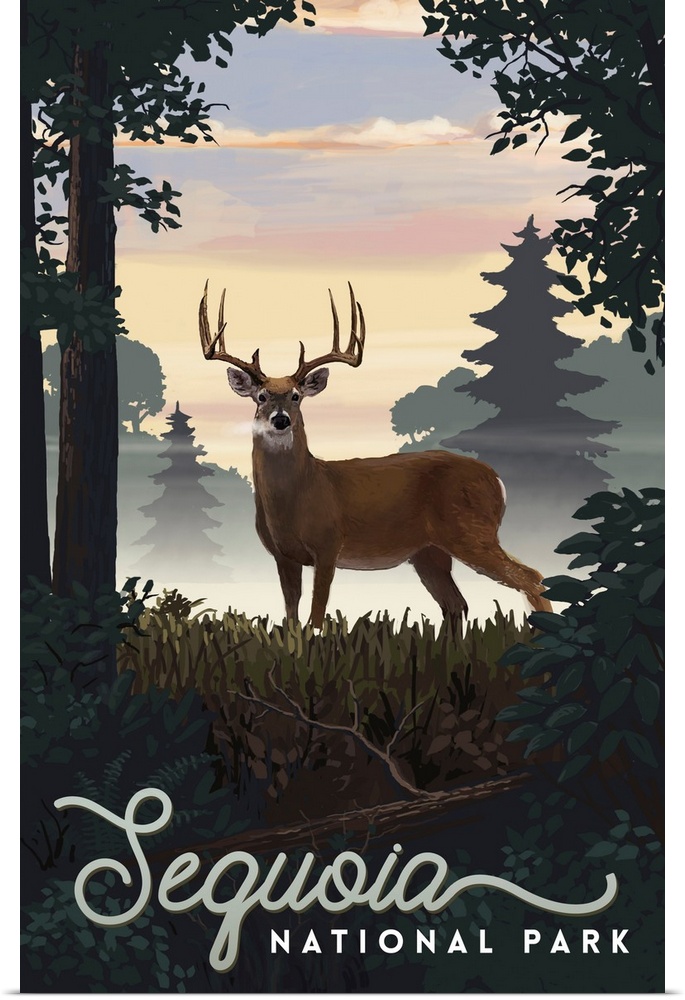 Sequoia National Park, Dear In Meadow: Retro Travel Poster
