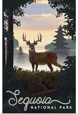 Sequoia National Park, Dear In Meadow: Retro Travel Poster