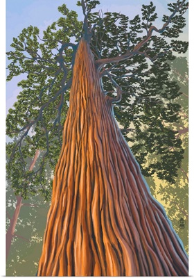 Tree Looking Up: Retro Travel Poster