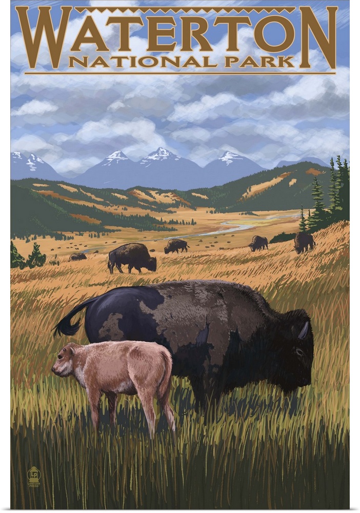 Retro stylized art poster of a mother bison and calf grazing on wide open plains.