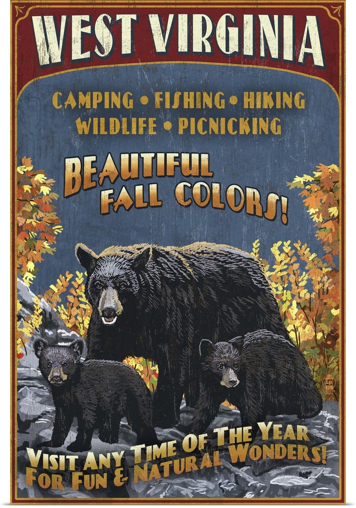 Retro stylized art poster of a black bear mother with her two cubs in the wild.