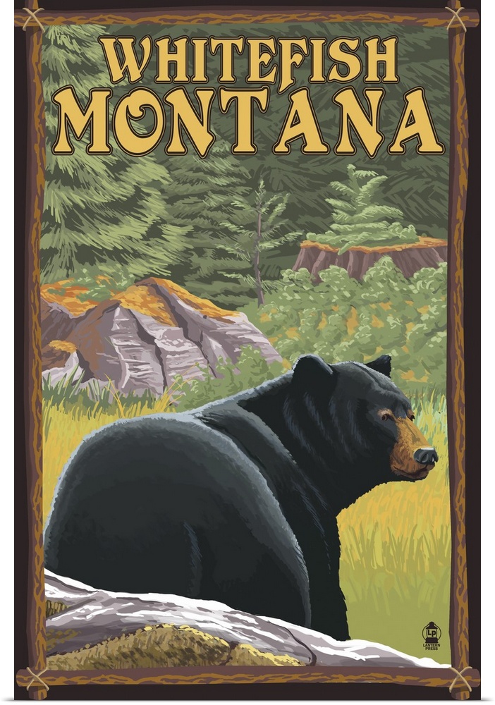 Whitefish, Montana, Bear in Forest