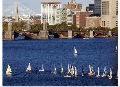 Regatta In The charles River, Boston, Massachusetts - Aerial Photograph