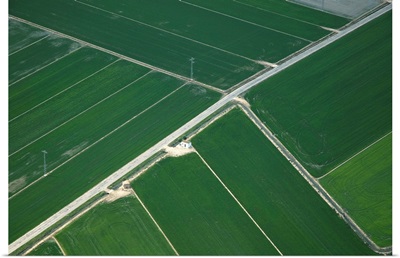 Rice Fields, Ebro Delta, Spain - Aerial Photograph