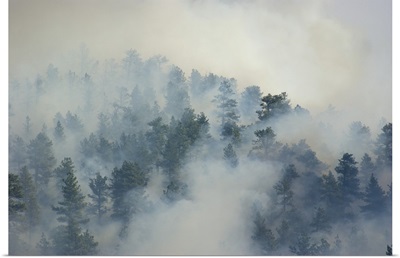 Smoke From a Wildland Fire, Rocky Mountains, Colorado - Aerial Photograph