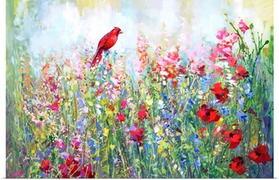 Cardinal among the wildflowers