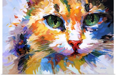 Colorful Cat's Gaze