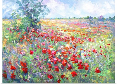Tuscan Wildflower Field