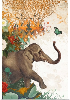 Elephant With Butterfly