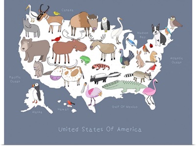 United States Of Animals