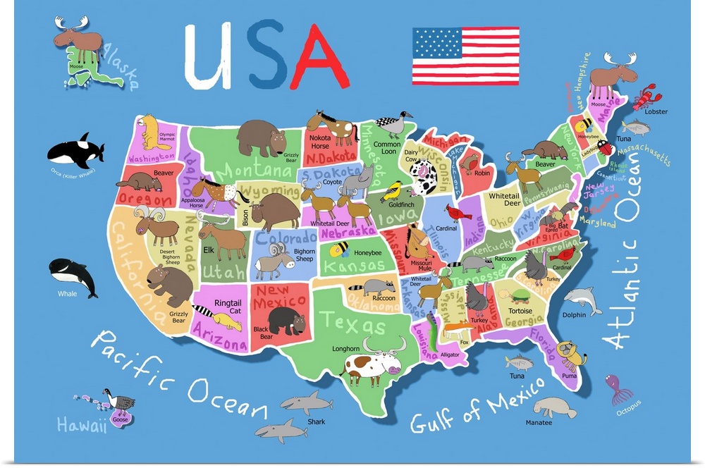 USA Map