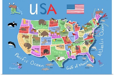 USA Map