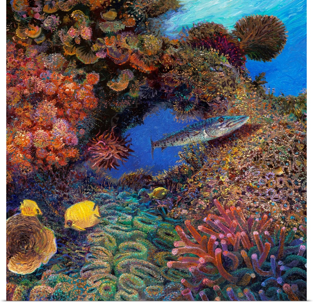 Brightly colored contemporary artwork of a barracuda swimming through coral.