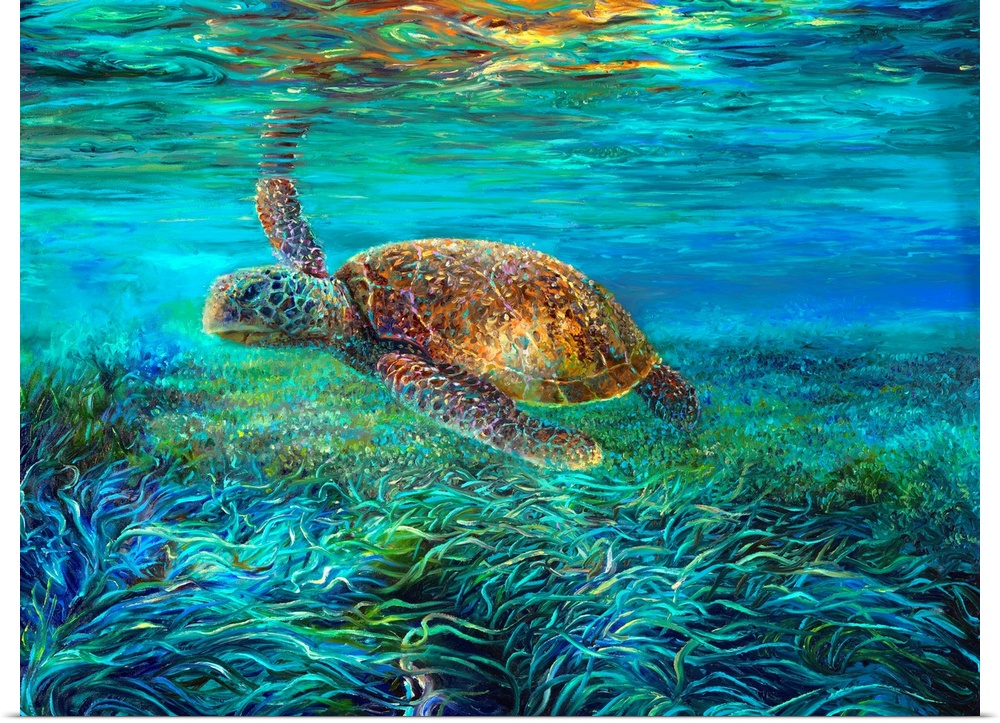 Brightly colored contemporary artwork of a turtle swimming in the ocean.
