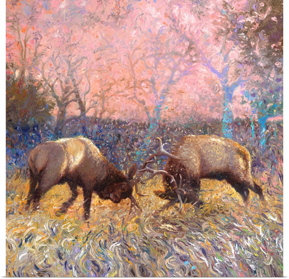 Brightly colored contemporary artwork of two elk bulls fighting.