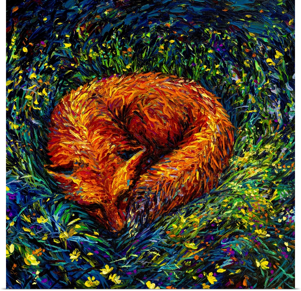 Brightly colored contemporary artwork of a fox napping in the grass.