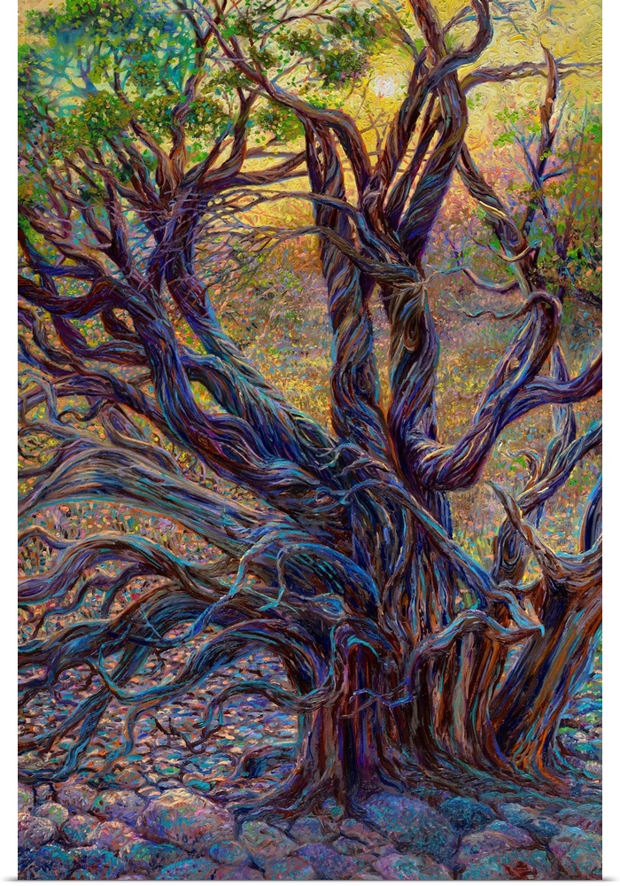 Contemporary artwork of a juniper tree.