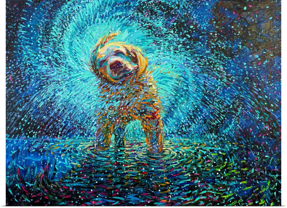 Brightly colored contemporary artwork of a labrador shaking water off.