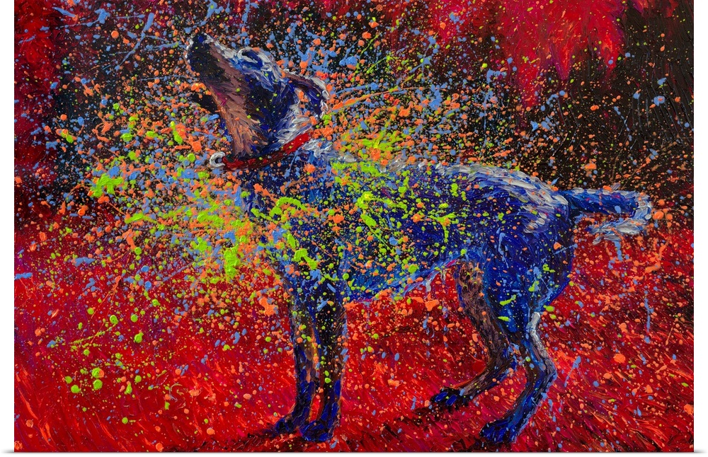 Brightly colored contemporary artwork of a dog shaking off colors.