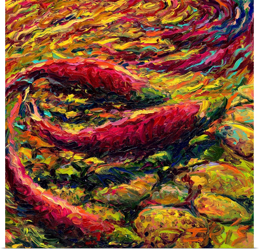 Brightly colored contemporary artwork of a three fish swimming.