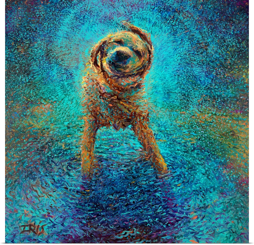 Brightly colored contemporary artwork of a lab shaking off blue water.