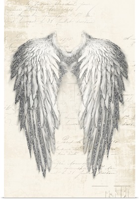 Angel wings II