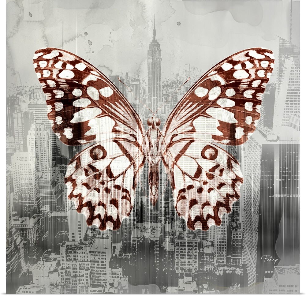 Creative artwork of a white and brown butterfly over a faded aerial cityscape image of New York in gray streaks and spots.