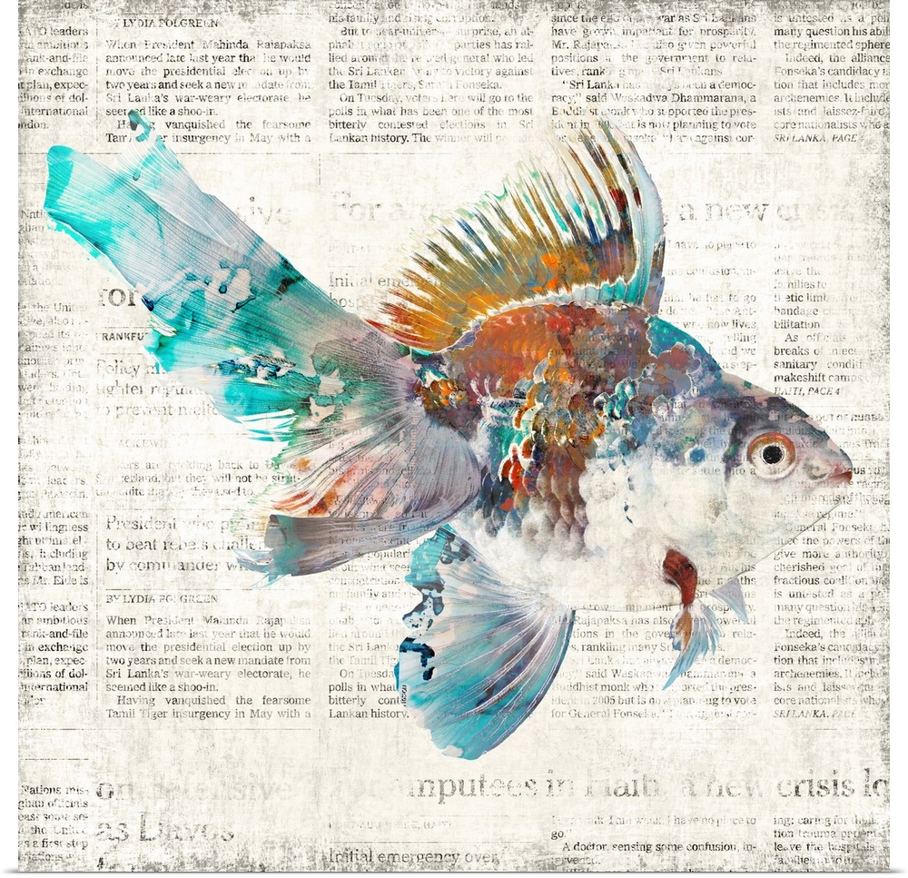 A decorative image of a multi-colored fish on a faded newspaper backdrop.