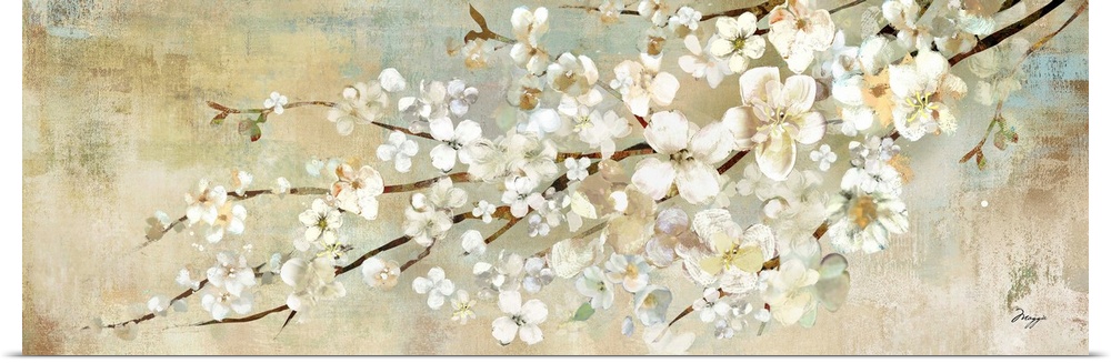 A panoramic painting of a branch of white blossoms against a neutral backdrop.