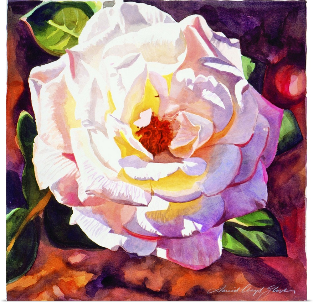 Painting of a rose with light shining on its petals.