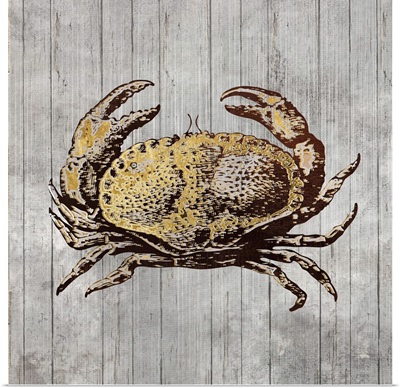 Driftwood Crab