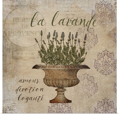 French Herbs La Lavende