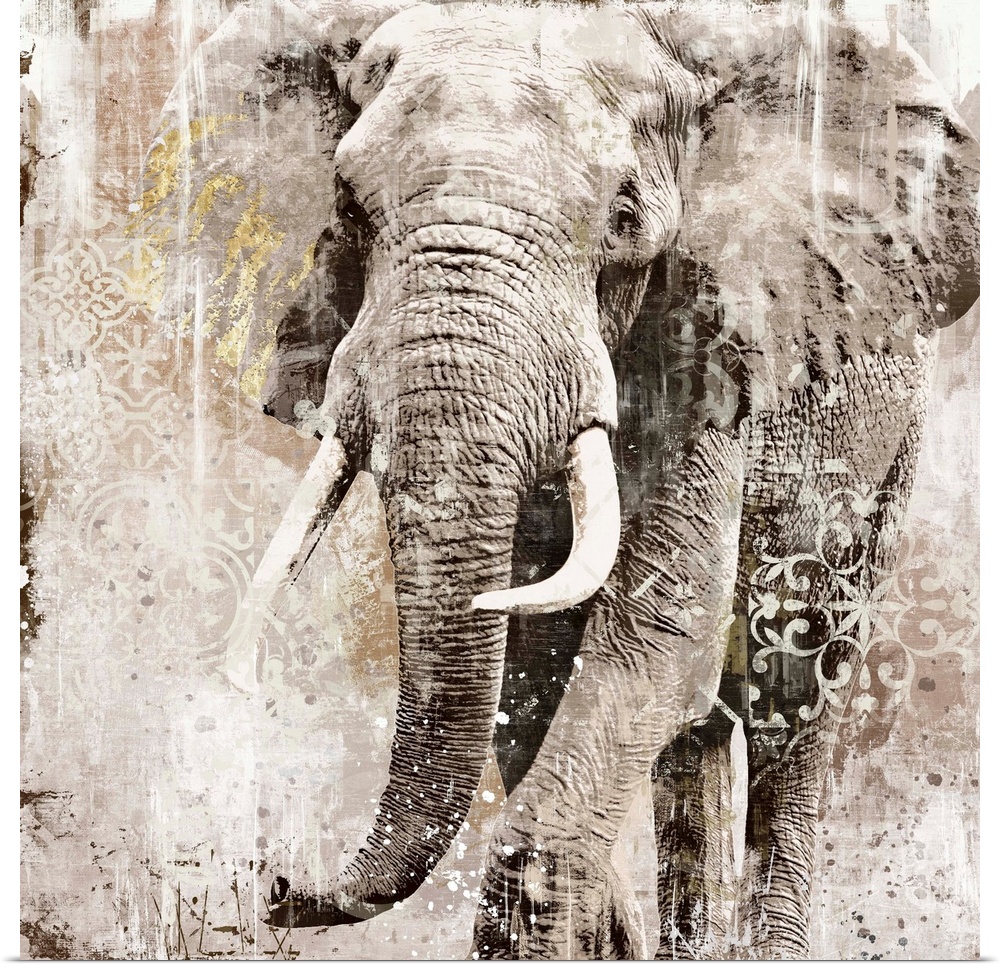 Decorative artwork of an elephant with tusk with a distressed overlay of fine lines and floral designs.